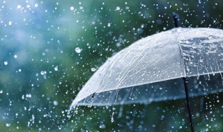 描写大雨的唯美句子 描写大雨的唯美句子短句