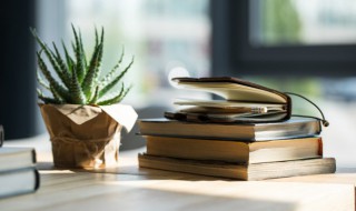 诗词的魅力作文（中国诗词的魅力作文）