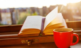 夹叙夹议作文 夹叙夹议作文300字