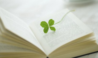 关于三年级满分作文（三年级的满分作文）