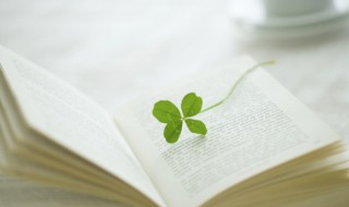 美丽的她作文 美丽的她作文600字