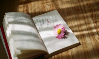 一封家书作文 一封家书作文800字高中