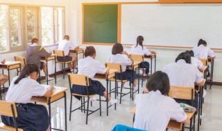 会组词组（会组词组词一年级）