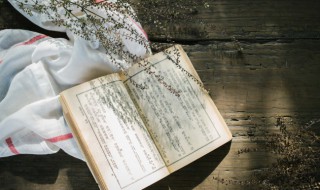 桃花诗词名句（桃花诗词名句五字）