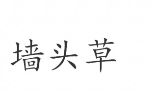 墙头草是什么意思（说一个人墙头草是什么意思）