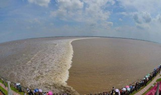 横贯江面的贯是什么意思（横贯江面的贯是什么意思是）