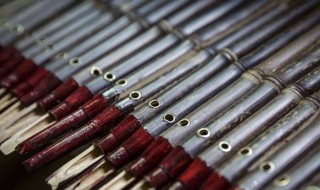 笙是什么意思（笙是什么意思取名字）