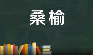 桑榆是什么意思 桑榆是什么意思 莫道桑榆晚