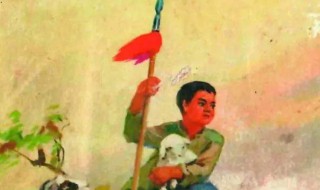 鸡毛信观后感（鸡毛信观后感50字一年级）