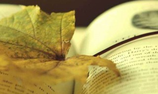 男生贾里读后感（男生贾里读后感400字）