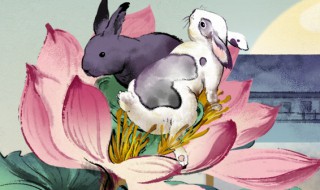 中秋见闻作文400字（中秋见闻作文400字作文）