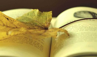 沉默的大多数读后感 沉默的大多数读后感300字