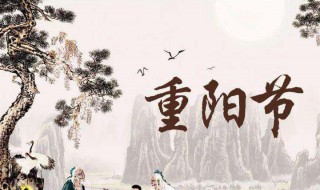 重阳节敬老古诗（重阳节的诗句古诗大全）