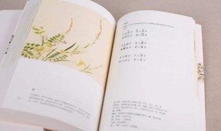 青青子衿悠悠我心是什么意思 青青子衿悠悠我心纵我不往子宁不嗣音