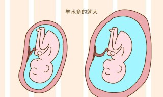 异卵双胞胎是什么意思（异卵双胞胎不是一天怀上吗）