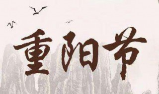 重阳佳节的诗词 关于重阳节的古诗词