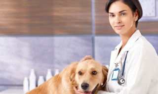 兽医自考需要什么条件（兽医自考需要什么条件才能考）