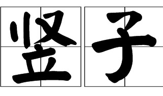 竖子是什么意思（星汉灿烂竖子是什么意思）