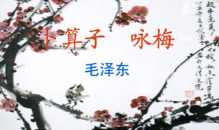 己是悬崖百丈冰犹有花枝俏的意思（已是悬崖百丈冰犹有花枝俏这句话的意思是什么）