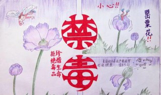 关于禁毒的手抄报（关于禁毒的手抄报模板）