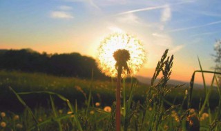 关于风景的句子唯美（关于景物的好句）