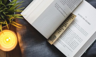 高雅有意境的四字成语（四字成语）