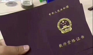 高级幼儿教师证是什么证（高级幼儿教师证是什么证书）