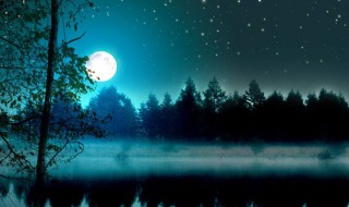 明月别枝惊鹊清风半夜鸣蝉的意思 明月别枝惊鹊清风半夜鸣蝉全诗