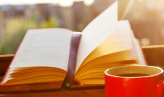 熠熠生辉是什么意思 熠熠生辉是什么意思可以形容人吗