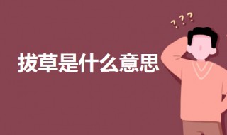 拔草是什么意思网络 拔草是什么意思网络名朋