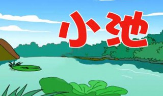 小池古诗 小池古诗朗读