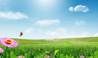 送给步入小学孩子的话 送给步入小学孩子的话简短