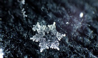 雪花像什么的比喻句 雪花像什么的比喻句二年级下册