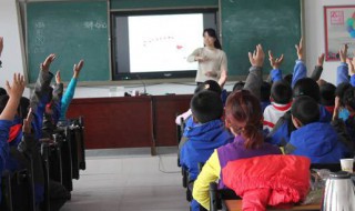 垃圾分类作文（垃圾分类作文800）