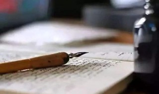 保护野生动物作文 保护野生动物作文500字左右