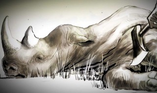 怎样保护野生动物（怎样保护野生动物的方法）