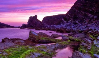 正能量文艺短句 正能量文艺短句10字