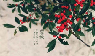 关于立秋唯美诗句 关于立秋唯美诗句大全