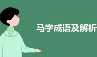 马的成语 马的成语大全四个字