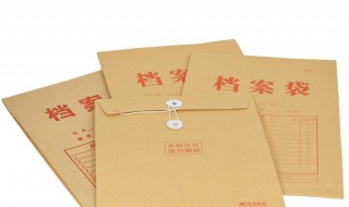 档案袋被打开怎么处理 档案袋不小心打开了怎么办