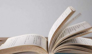 红星照耀中国简介 红星照耀中国简介100字