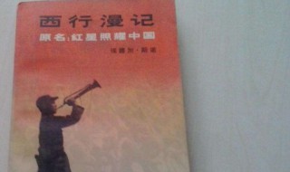 红星照耀中国读后感300字（红星照耀中国读后感300字左右初中）