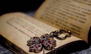 顾城的经典诗句 顾城的经典诗句黑夜给了我黑色的眼睛