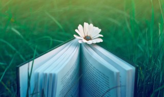 坚持的名人名言（坚持的名人名言及事例）