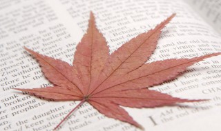 读书格言 读书格言二年级