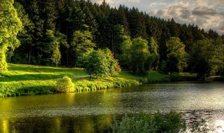 寄予美好希望的诗词 孩子寄予美好希望的诗词