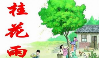 桂花雨读后感400字（桂花雨读后感400字曹文轩）