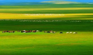 描写草原的古诗名句 描写草原的古诗名句有哪些