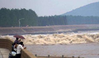 观潮作者简介 观潮作者简介赵宗成