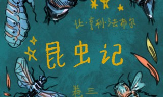 昆虫记精彩段落（昆虫记精彩段落300字）